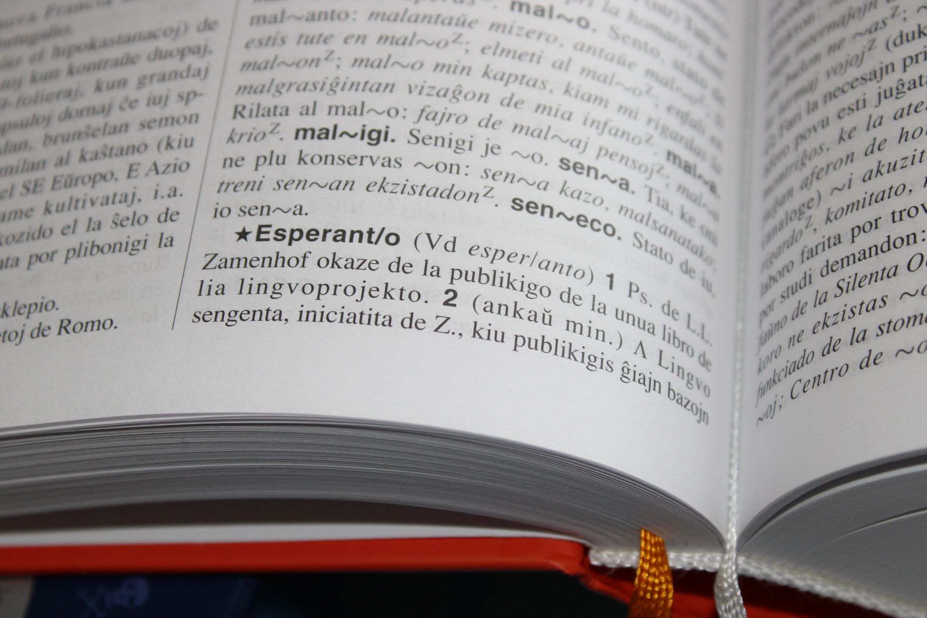 IA para Traducción y Atención al Cliente Multiidioma page of a dictionary in close up photography